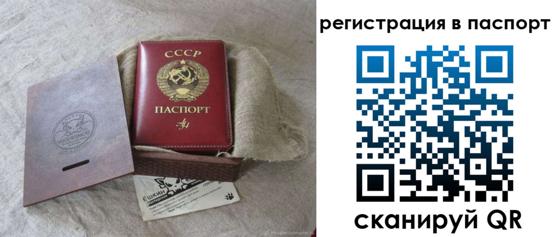 где прописаться в Ивантеевке